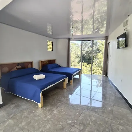 Hotel Monte Campana Heredia-2
