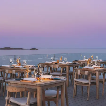 Meliá Ibiza - Adults Only-3