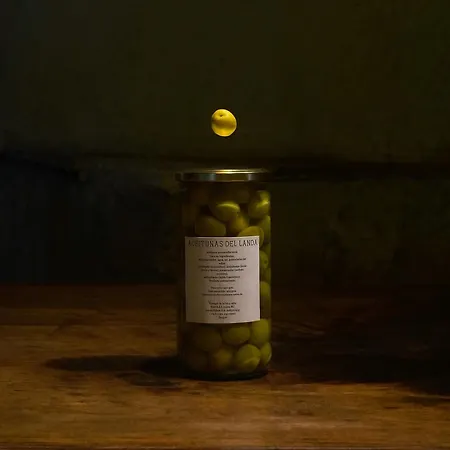 Landa-2