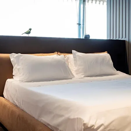 Lumia Hotel-3