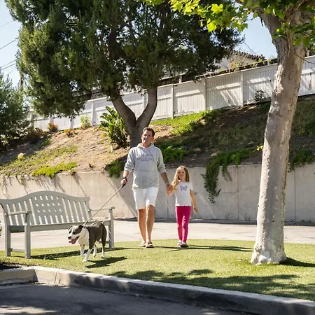 Residence Inn Los Angeles Lax/Manhattan Beach-3