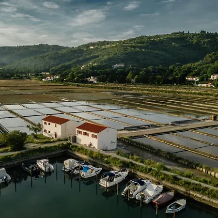 Holiday Park Vile - Terme Krka-2