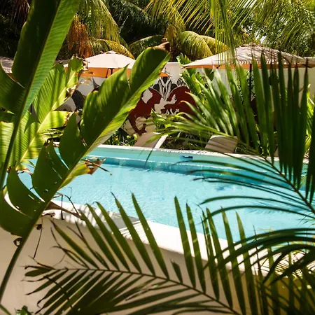 El Corazon Boutique Hotel - Adults Only With Pool & Beach Club Access-2