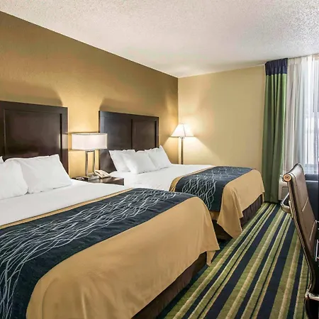 Comfort Inn & Suites Lantana - West Palm Beach South-3