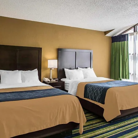 Comfort Inn & Suites Lantana - West Palm Beach South-2