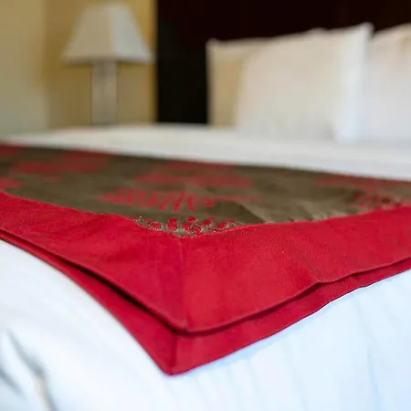 Albany Plaza Hotel-3
