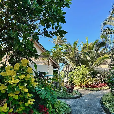 Little Polynesian Resort-3