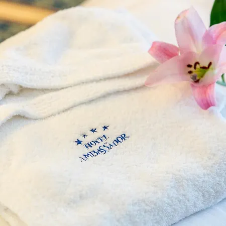 Hotel Ambassador-2