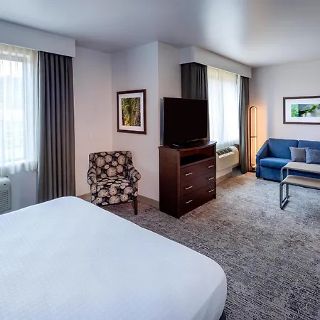 Homewood Suites By Hilton Seattle-Issaquah-3