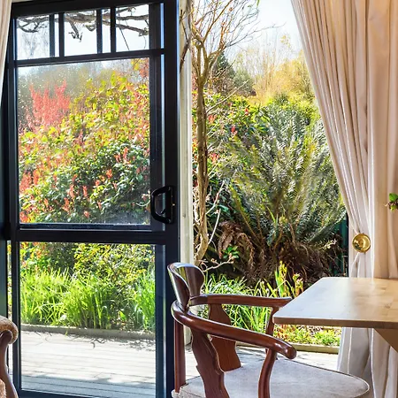 Olive Rabbit - Boutique Bed & Breakfast-2