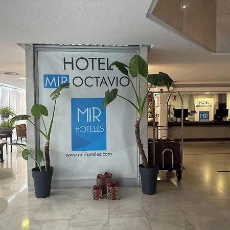 Mir Octavio-3