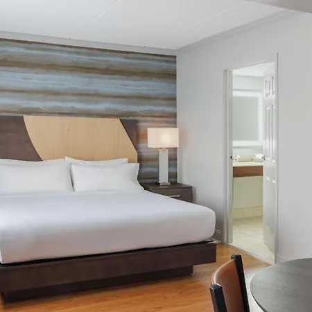Hotel Trilogy Albany Airport, Tapestry Collection By Hilton-3