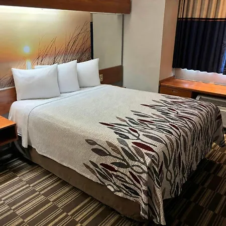 Red Roof Inn Port Charlotte - Punta Gorda-3