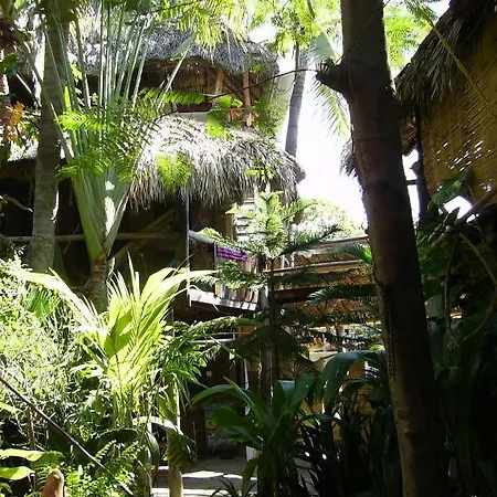 Castillo Oasis-3