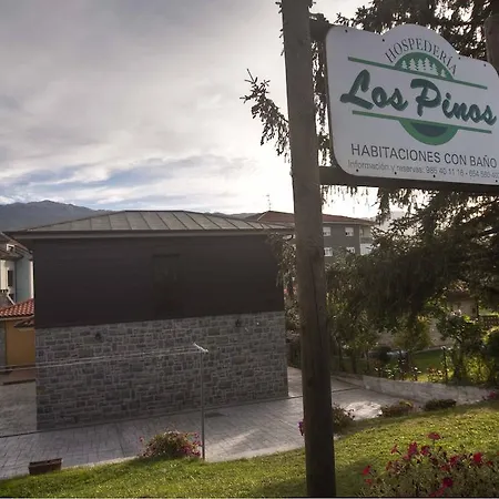 Hospederia Los Pinos-2