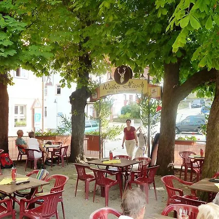 MB Hotel Weißer Hirsch-2