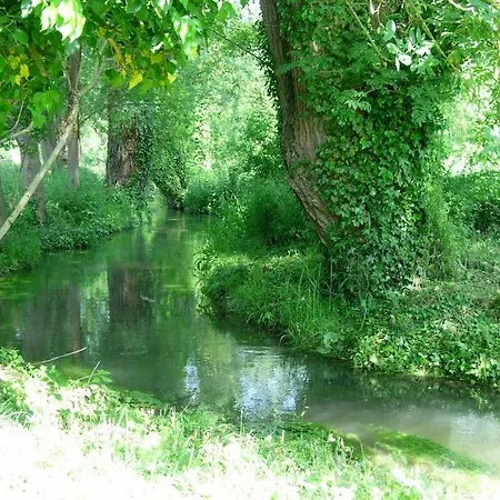 Le Moulin Fleuri Du Petit Appeville-2