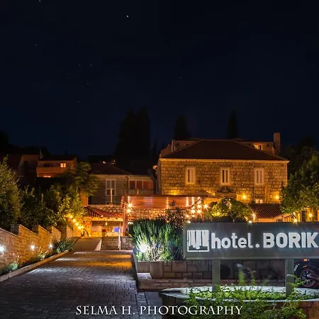 Hotel Borik-2