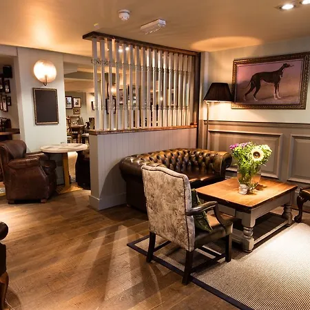 Greyhound Hotel-3