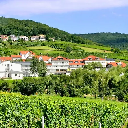 Hotel Südpfalz-Terrassen-2