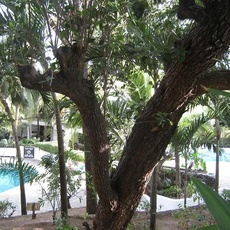 Scorpio Villas Resort-2