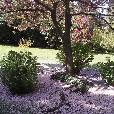Du Parc Dipendenza-3