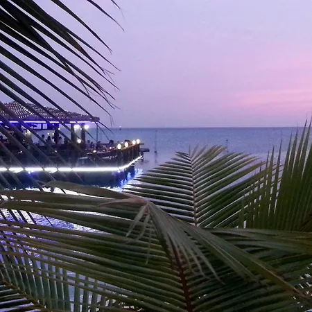Aruba Surfside Marina-2