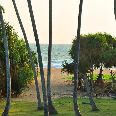 Ocean View-3