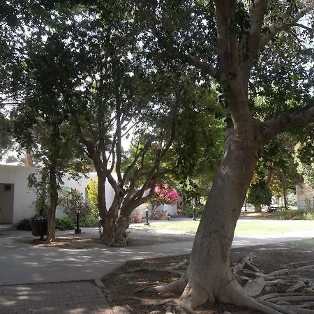 Almog Kibbutz Hotel-2