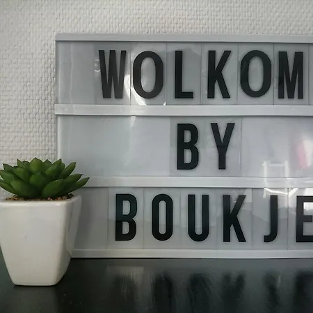 B&B Byboukje-3