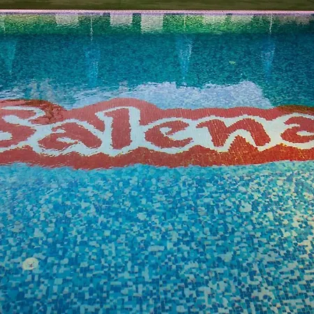 Salena Hotel-2
