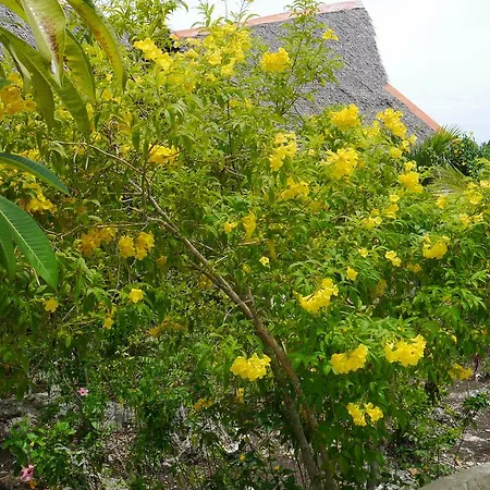 Moalboal T Breeze Coastal Resort-2