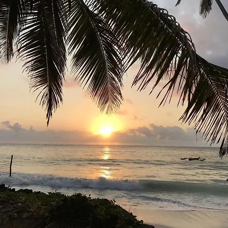 Paradise Beach Bungalows-3