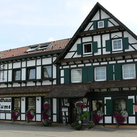 Hotel Landgasthof Blume-2