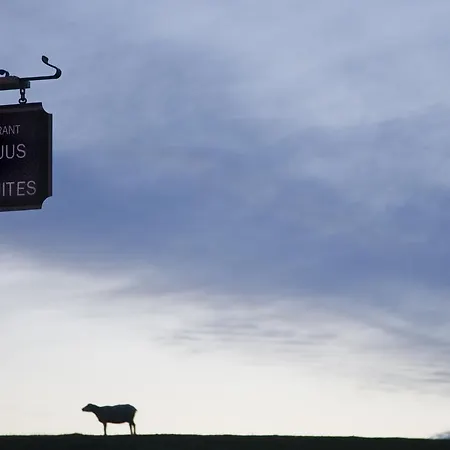 Texel Suites-2