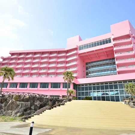 Tanegashima Iwasaki Hotel-3
