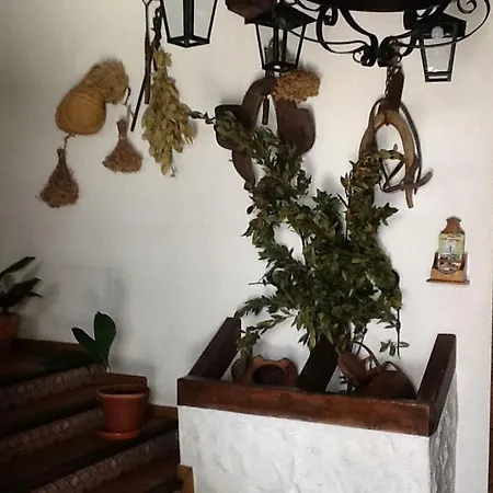 Hotel Posada San Antonio-3