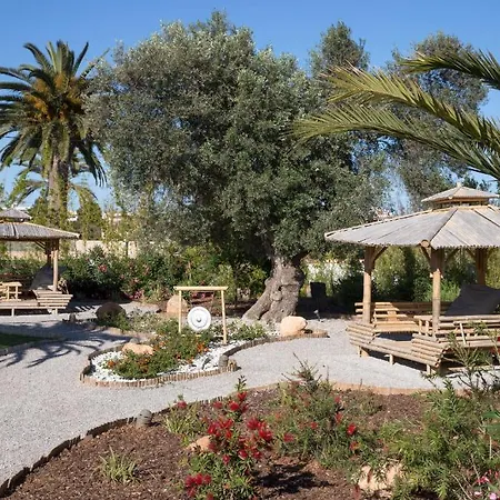 Ibizazen-3