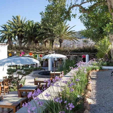 Ibizazen-2
