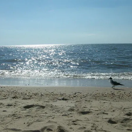 Boardwalk Beach Inn-3