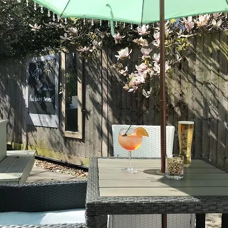 The Dog At Wingham-3