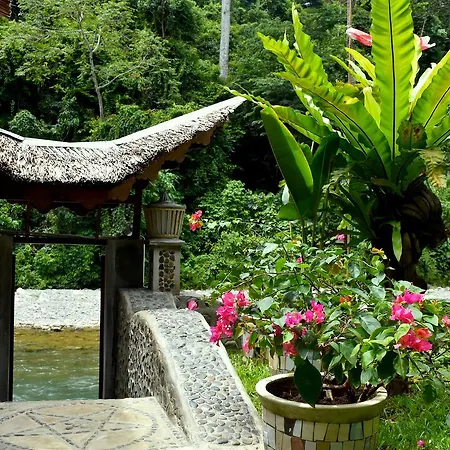 Ecotravel Cottages Bukit Lawang & Jungle Trekking-3