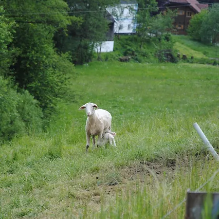 Landgasthof Seyrlberg-2