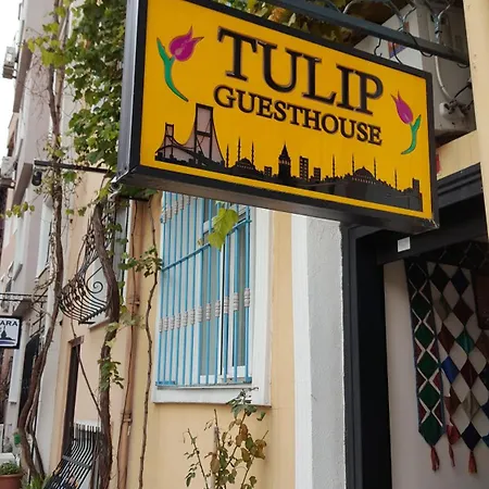 Tulip Guesthouse-3