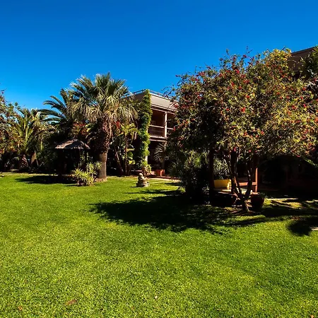Chillout Hotel Tres Mares-2