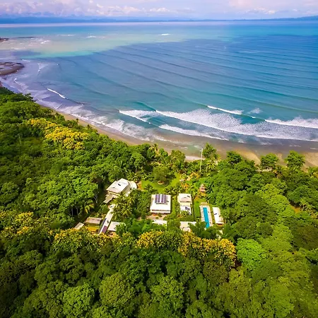 Blue Osa Beach Resort & Spa-2