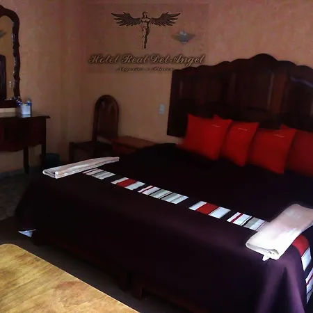 Hotel Real Del Angel-2