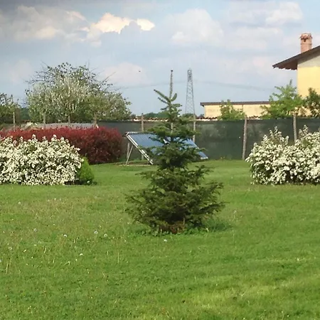 Quattro Gatti-3