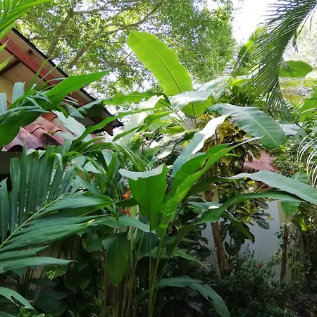Funky Monkey Lodge-2