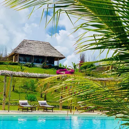 Jua Retreat Adults Only-2